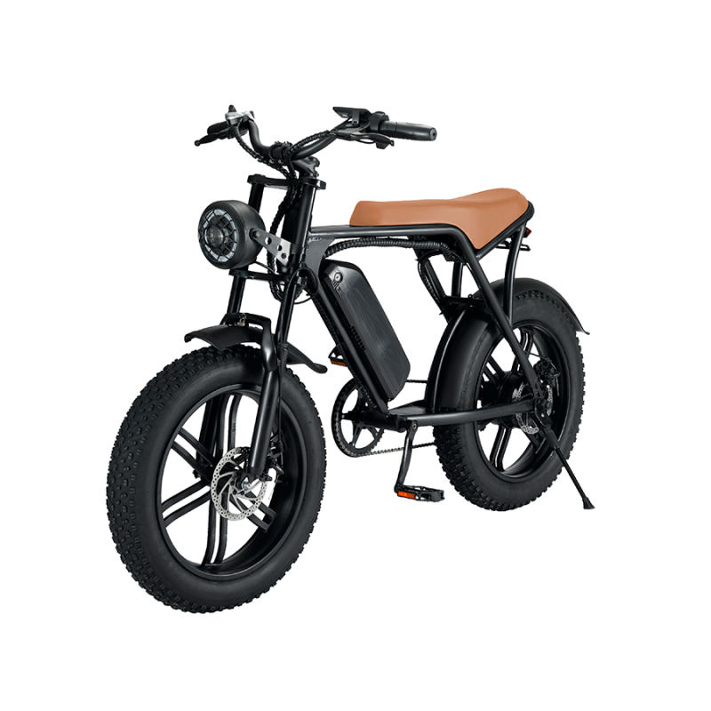 FXH-V8 20*4.0 Inch 48V 750W 1000W Fat Tires Electric Bike 7 Speed Rear Hub Motor F/R disc brake E-bike For Men