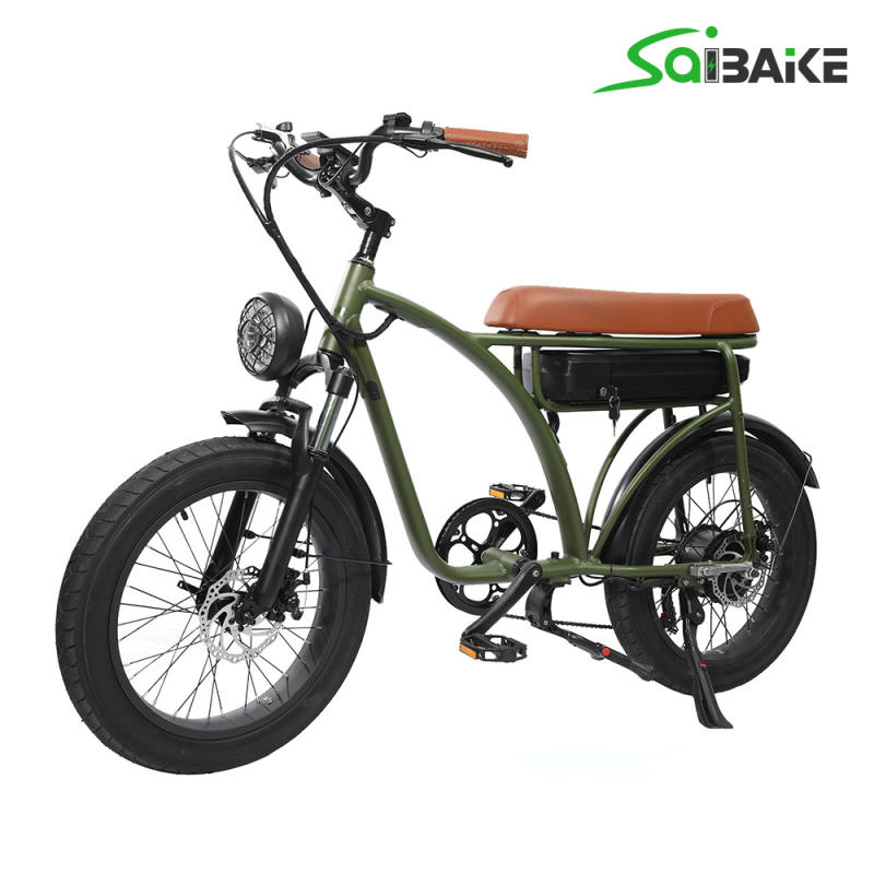 Saibaike FXH-005 20*4.0 Inch 48V 250W 500W 750W 1000W Fat Tires Electric Bike 7 Speed Rear Hub Motor Mountain E-bike