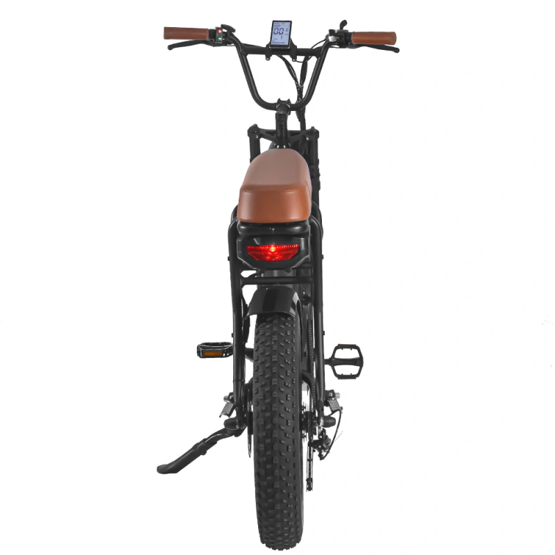 Saibaike FXH-006 20 Inch 48V 250W 500W 750W 1000W Motor Super Power Fat Tires Electric Bike Mountain Snow Beach E-bike Black Saddle