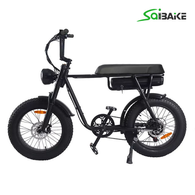 Saibaike FXH-006 20 Inch 48V 500W 750W 1000W Rear Hub Motor Super Power Fat Tires Electric Bike Mountain Snow Beach E-bike