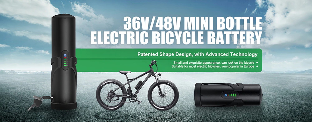 Free Shipping 250W 350W 500W Lithium ion 36v 48v E-bike battery
