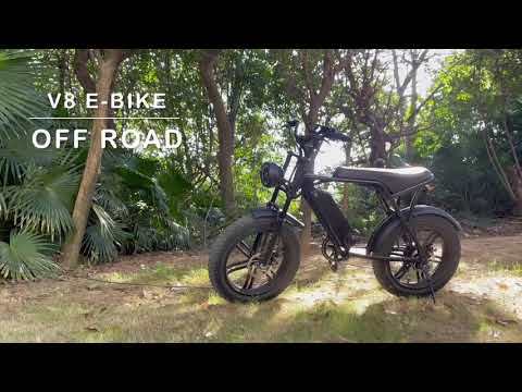 V8 20inch Fat Tire Electric Bike 48V 750W 1000W Dual Front Hydraulic Suspension Fatbike Commuter E-bike