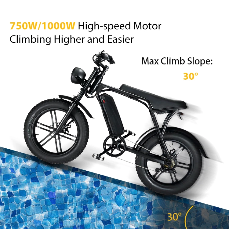 V8 20inch Fat Tires Electric Bike 48V 750W 1000W Rear Hub Motor 7 Speed E-bike