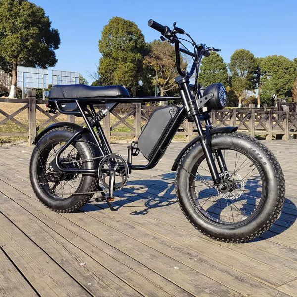 Saibaike V8 Fat 20 inch Tires Electric Bike 48V 750W 1000W Dual Front Hydraulic Suspension Commuter E-bike Brown Saddle