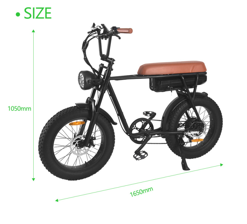 FXH006 Electric Bicycle Fat Wheels Off Road Riding eBike 1000W Motor 48V Removeable Battery with White Edge Tire
