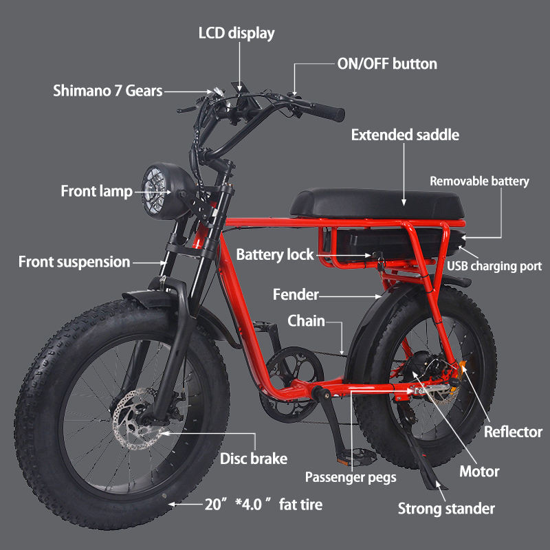 FXH006 Electric Fat Wheel Bikes 20inch Tire Mountain Bicycle Off-road E-bike Super Power EMTB with Red Bike Frame
