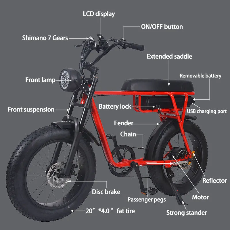 FXH006 Electric Fat Wheel Bikes 20inch Tire Mountain Bicycle Off-road E-bike Super Power EMTB with Red Bike Frame