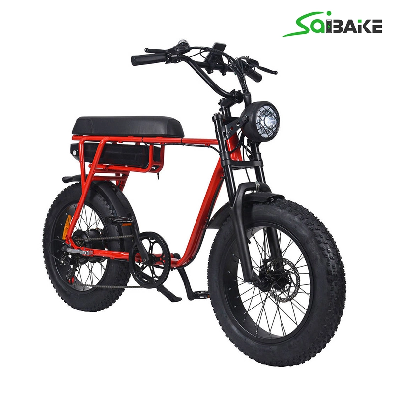 FXH006 Electric Fat Wheel Bikes 20inch Tire Mountain Bicycle Off-road E-bike Super Power EMTB with Red Bike Frame