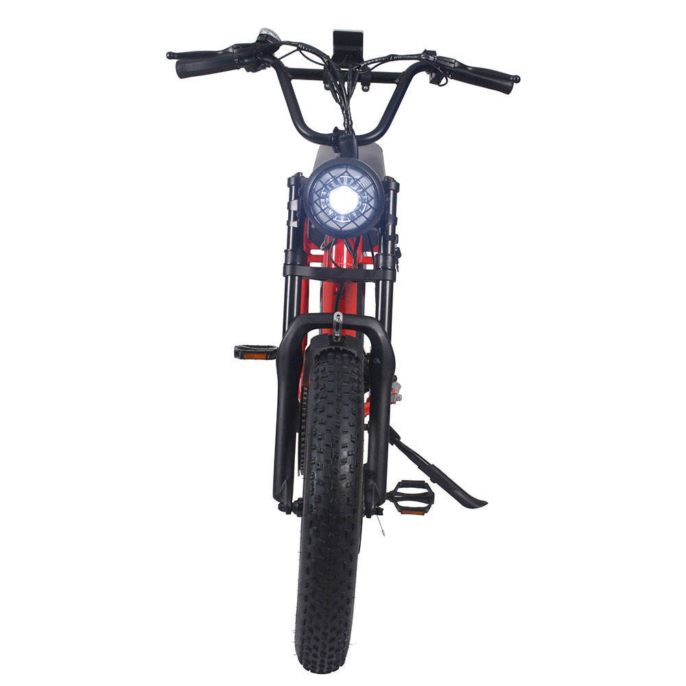 FXH-006 Electric Fat Wheel Bikes 20inch Tire Mountain Bicycle Off-road E-bike 48V 500W 750W 1000W Super Power EMTB