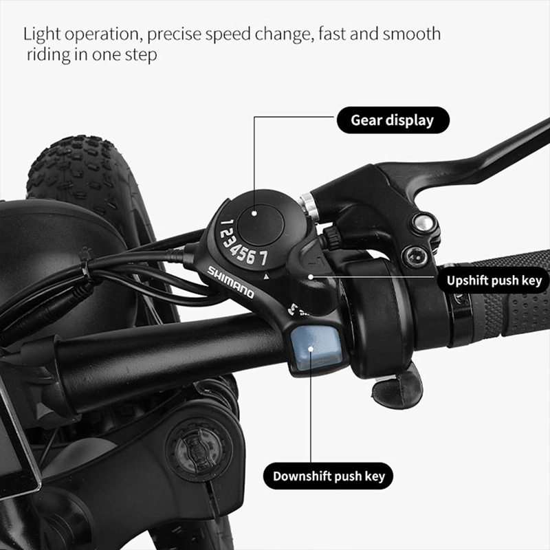 X16 Fat Tire Motorcycle Motoped Bicycle Mountain Electric Dirt Bike