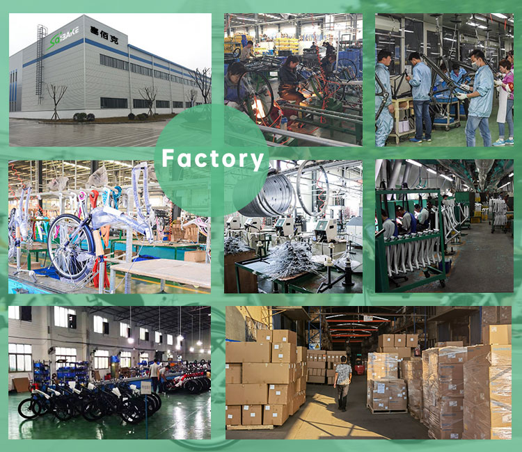 Ebike factory online