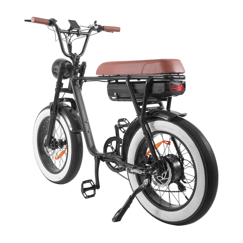 FXH006 Electric Bicycle Fat Wheels Off Road Riding eBike 1000W Motor ...