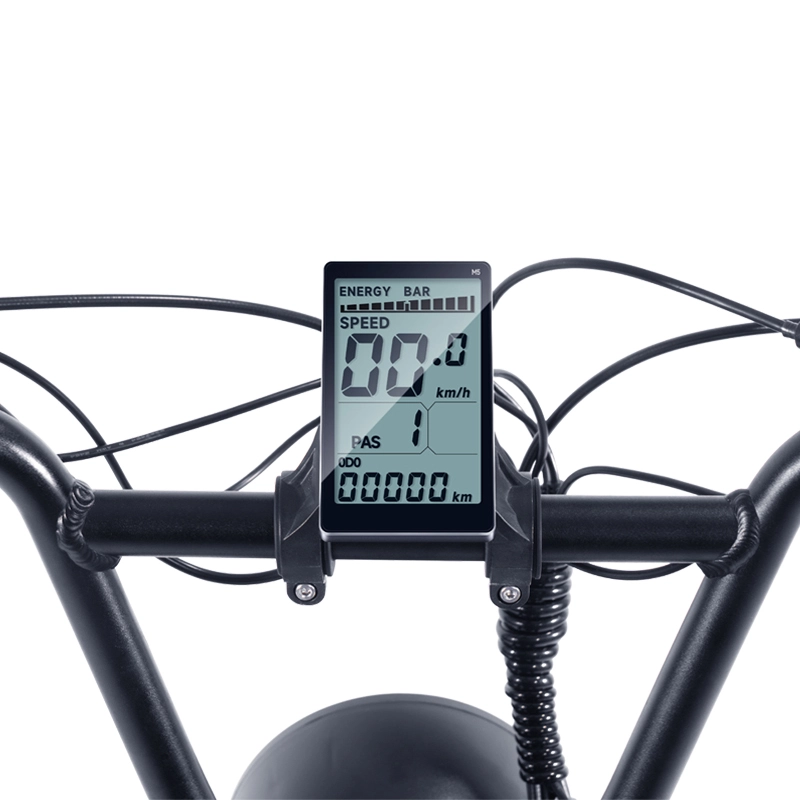 FXH006 Electric Bicycle Fat Wheels Off Road Riding eBike 1000W Motor ...