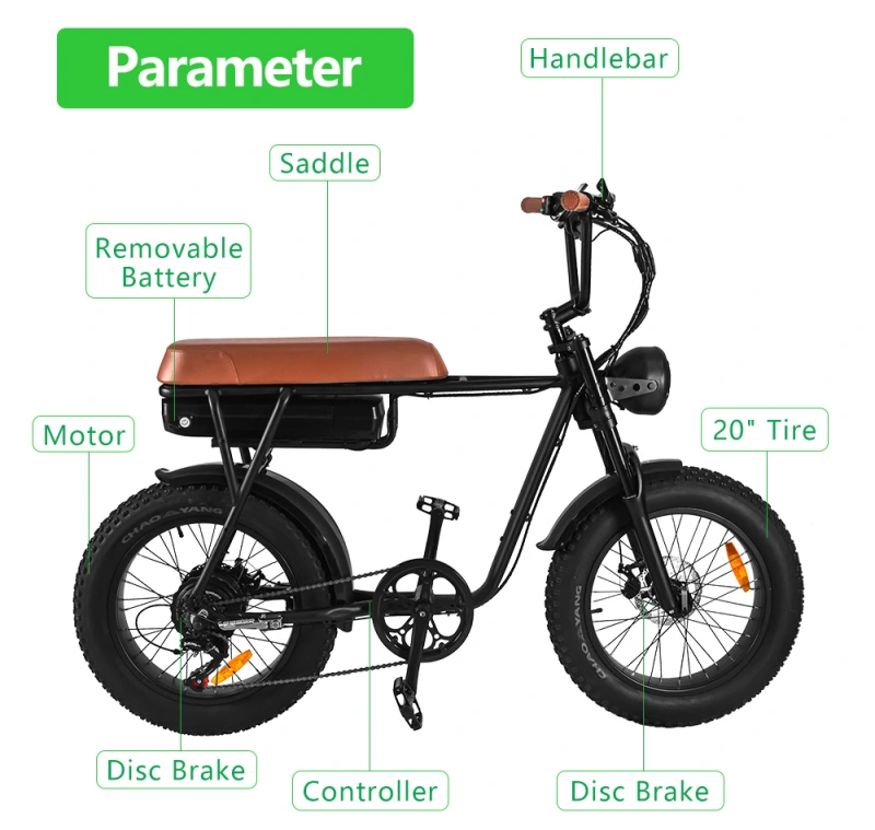 FXH006 Electric Bicycle Fat Wheels Off Road Riding eBike 1000W Motor 48V Removeable Battery with White Edge Tire