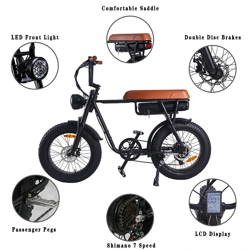 USA Stock FXH006 Super Power eBike20 Inch Fat Tire Electric Bike 1000w Rear Hub Motor Mountain Bicycle Off-road Snow Beach Cruiser E-bike