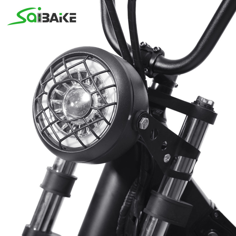 Saibaike FXH-006 20 Inch 48V 250W 500W 750W 1000W Motor Super Power Fat Tires Electric Bike Mountain Snow Beach E-bike Black Saddle