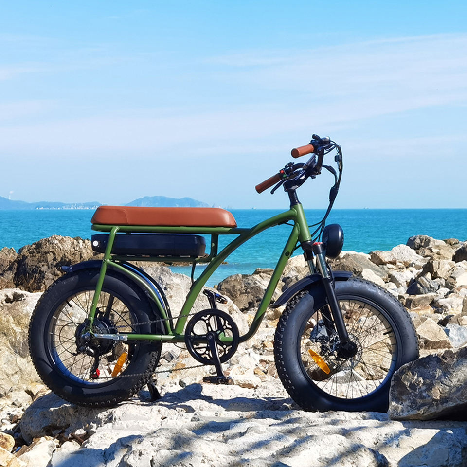 Saibaike FXH-005 20*4.0 Inch 48V 250W 500W 750W 1000W Fat Tires Electric Bike 7 Speed Rear Hub Motor Mountain E-bike
