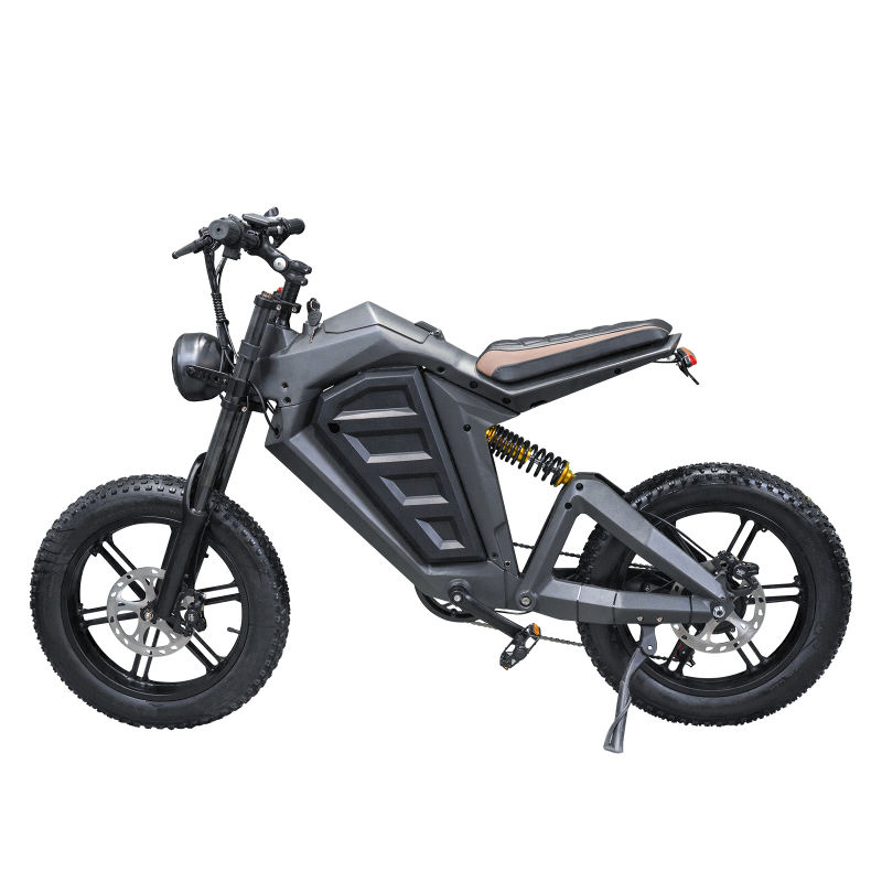 Motorized Electric Fat Wheel Bikes 20inch Tire Mountain Bicycle Off-road E-bike Super Power EMTB with Red Bike Frame