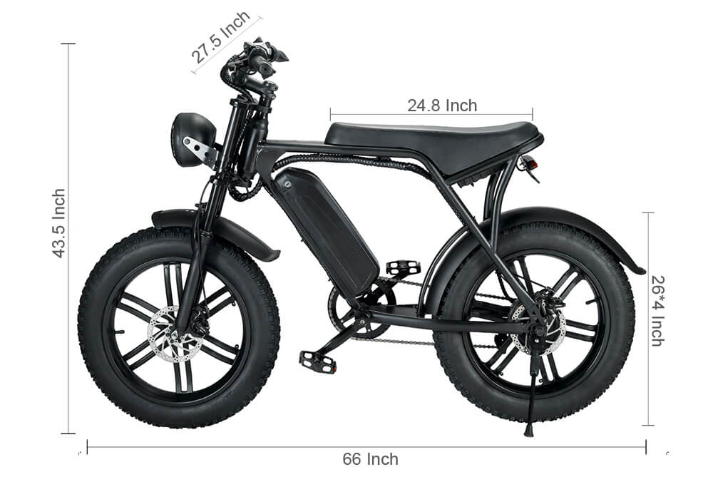 Dual Battery eBike 1000W 48V 30AH eBike Fat Tire Electric Bicycle for Off-road Dirt Bike