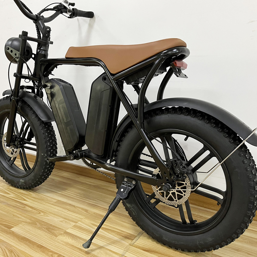 Dual Battery eBike 1000W 48V 30AH eBike Fat Tire Electric Bicycle for Off-road Dirt Bike
