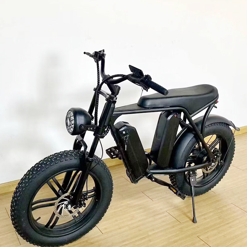 Dual Battery eBike 1000W 48V 30AH eBike Fat Tire Electric Bicycle for Off-road Dirt Bike