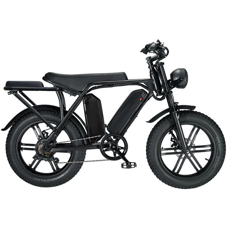 Dual Battery eBike 1000W 48V 30AH eBike Fat Tire Electric Bicycle for Off-road Dirt Bike
