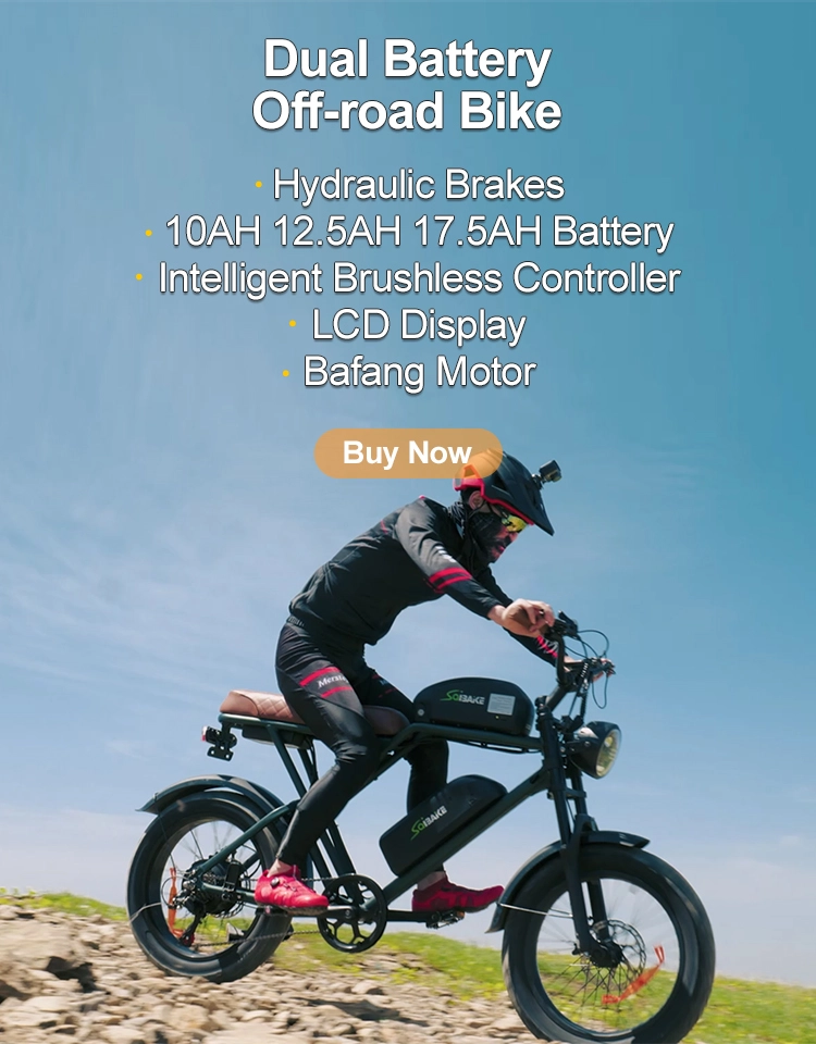 Official Saibaike Electric Bike Shop E Bike Lithium Battery