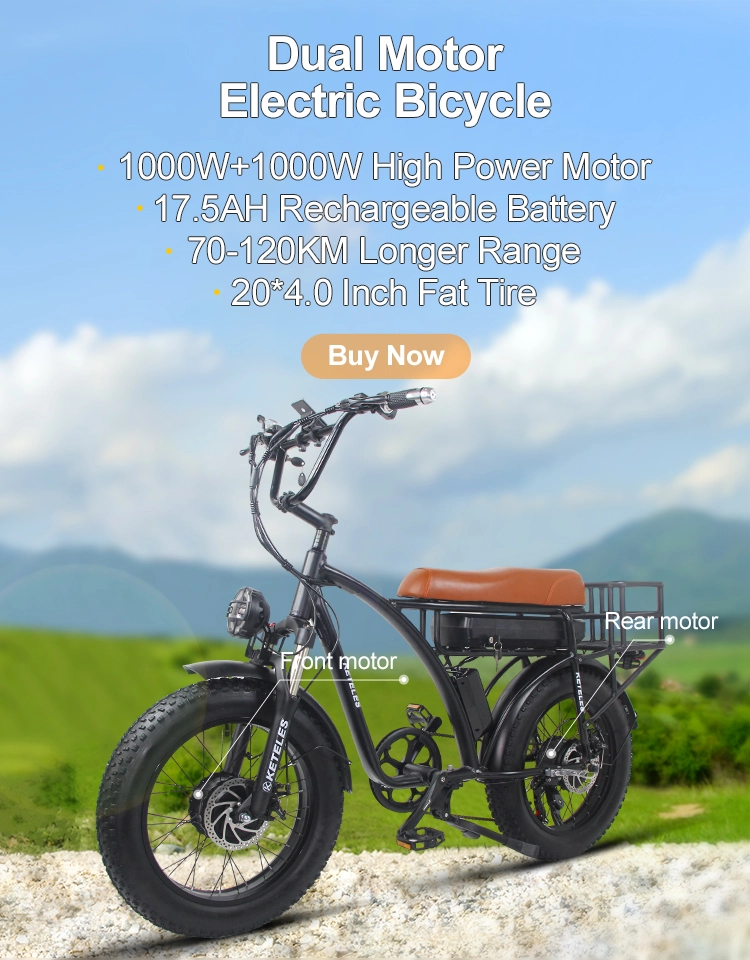 Official Saibaike Electric Bike Shop E Bike Lithium Battery