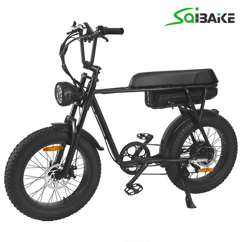 USA Stock FXH006 Super Power eBike Fat Tire Electric Bike 1000w Rear Hub Motor Mountain Bicycle with New LCD