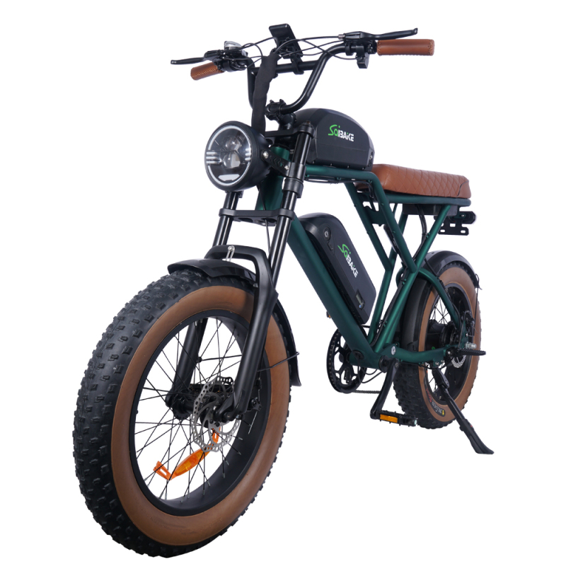eFlash Fat Tire Electric Bike 48V 25Ah Removeable Battery Double Damping 20inch Fatbike Off-road Commuter Dual Battery eBike