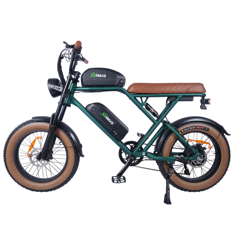 eFlash Fat Tire Electric Bike 48V 25Ah Removeable Battery Double Damping 20inch Fatbike Off-road Commuter Dual Battery eBike