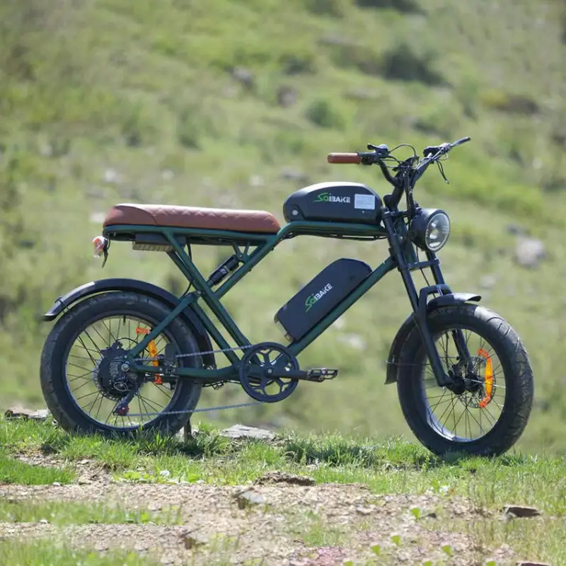 eFlash Fat Tire Electric Bike 48V 25Ah Removeable Battery Double Damping 20inch Fatbike Off-road Commuter Dual Battery eBike