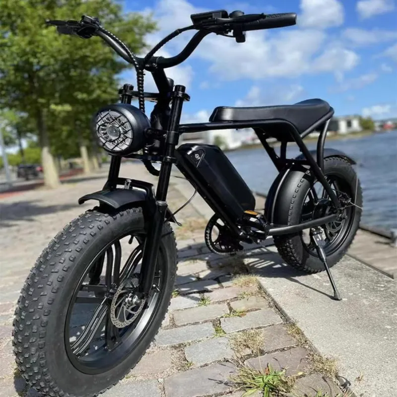 <Pre-Sales>EU Stock V8 Electric Fat Bike for Mountain Cycling 48V Removeable Battery 20inch Off-road eBike