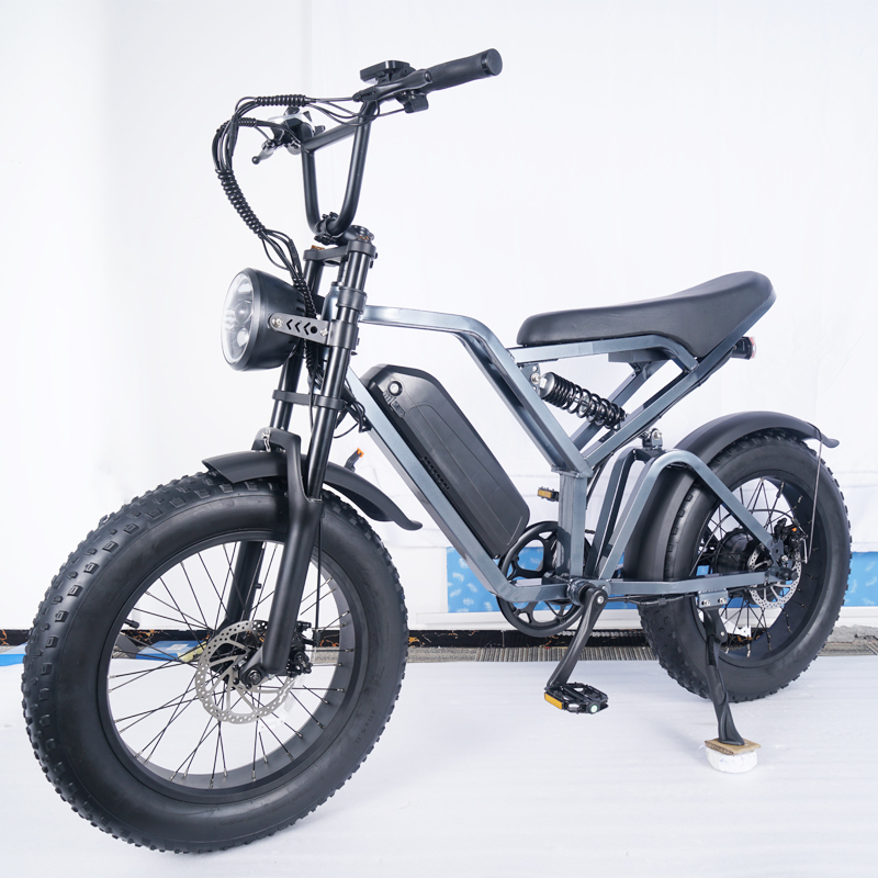 Hydraulic Brake Electric Motorcycle Dual Shock Absorber Off-road E-bike Electric Bikes Mountain Bicycle EMTB