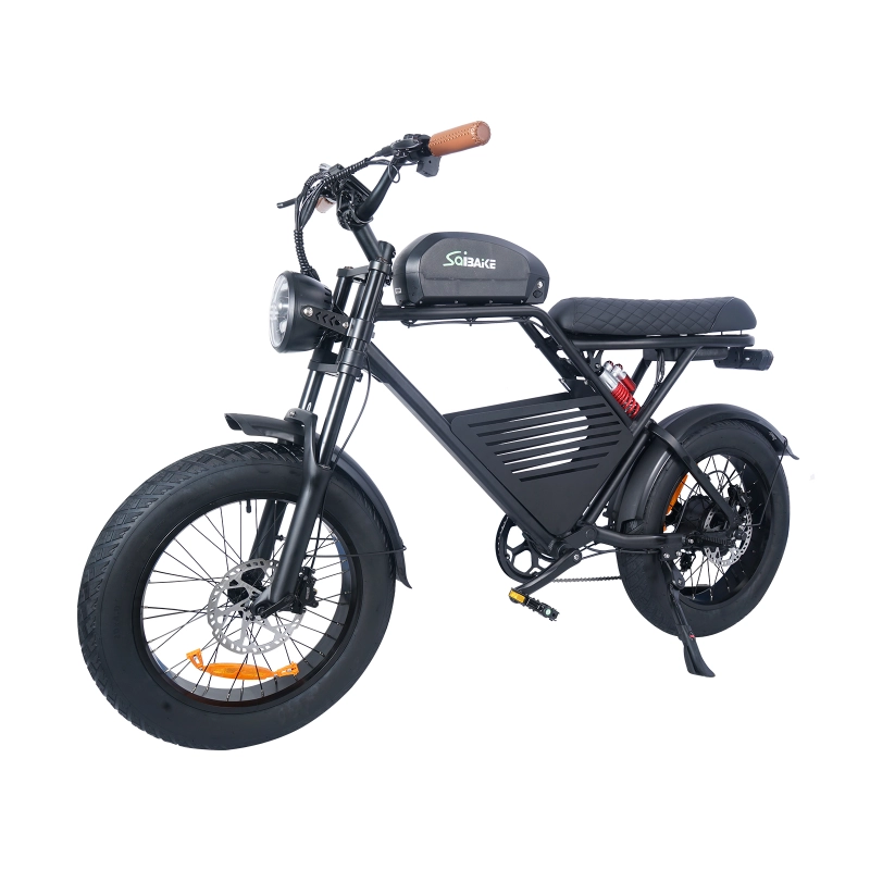 eFlash Fat Tire Electric Bike 48V 350W 1000W 15AH 25AH 30AH Removeable Battery Double Damping 20inch Fatbike Off-road Commuter Dual Battery eBike