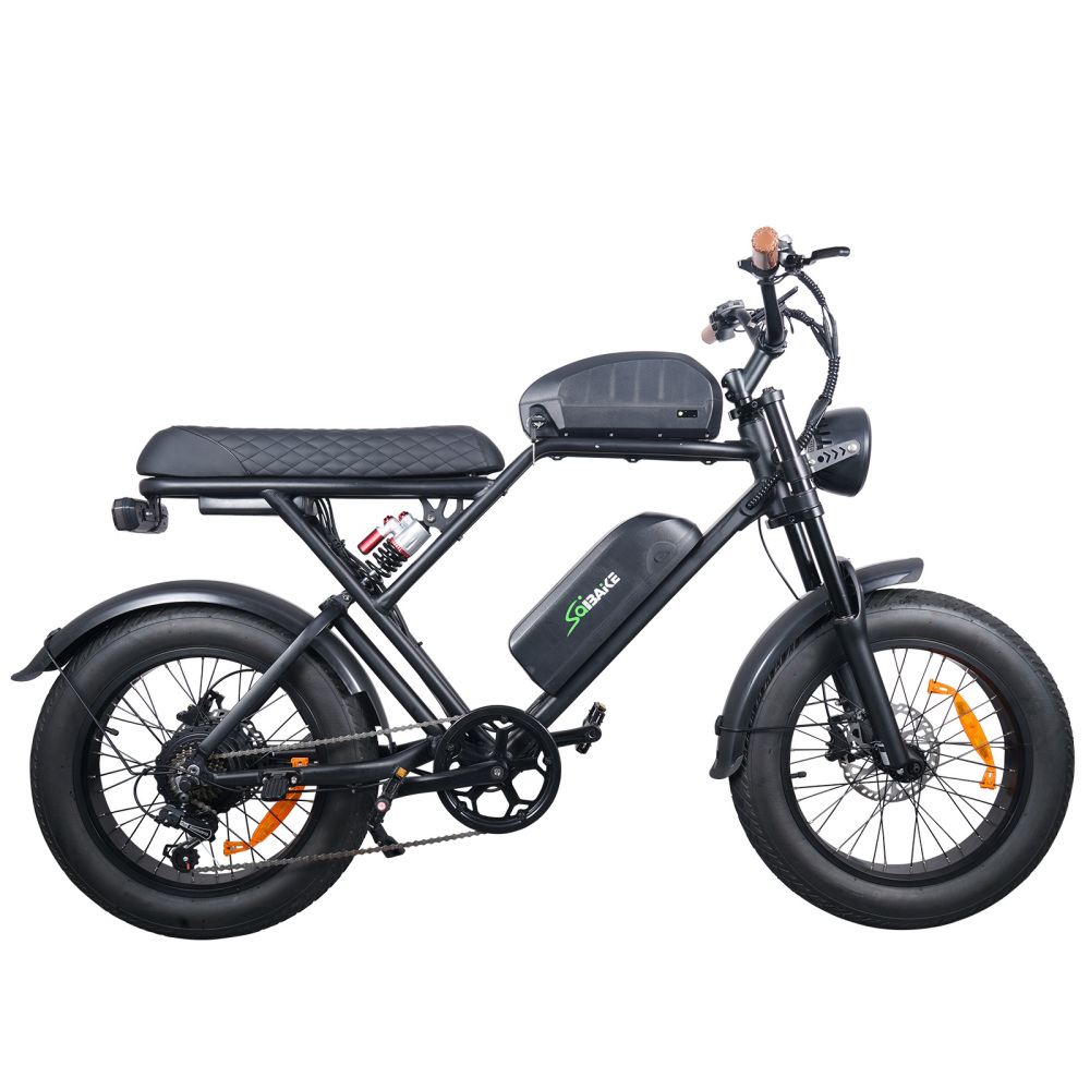 eFlash Fat Tire Electric Bike 48V 350W 1000W 15AH 25AH 30AH Removeable Battery Double Damping 20inch Fatbike Off-road Commuter Dual Battery eBike