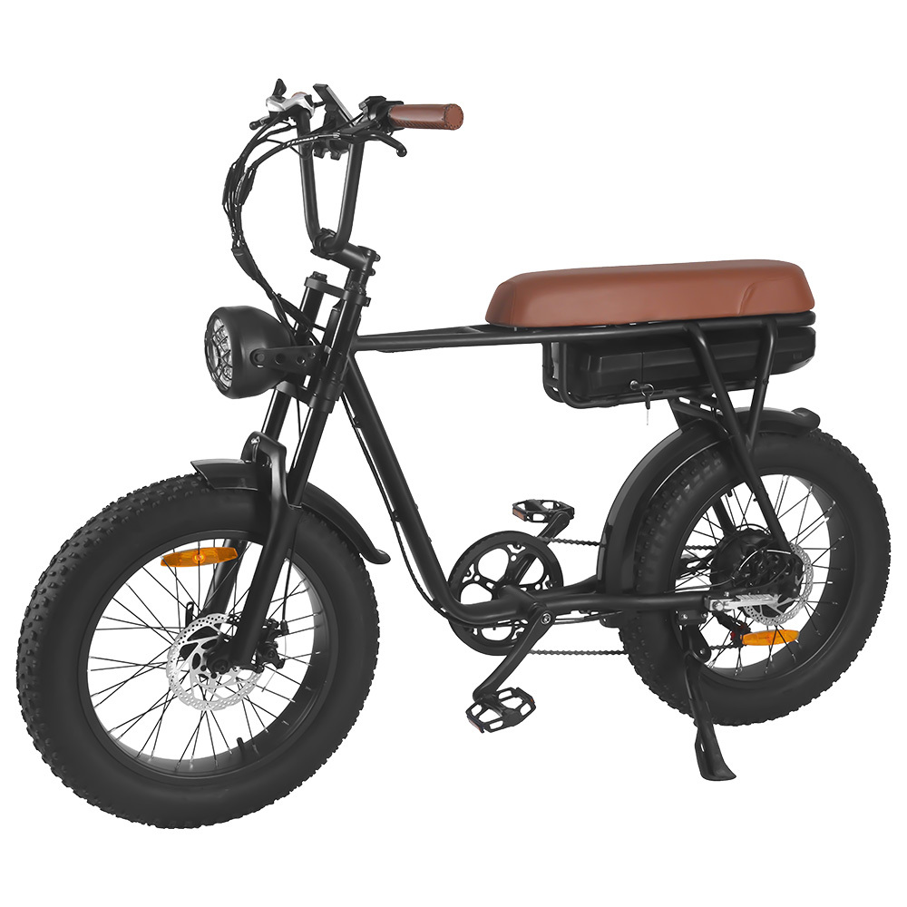 FXH-006 Electric Fat Wheel Bikes 20inch Tire Mountain Bicycle Off-road E-bike 48V 500W 750W 1000W Super Power EMTB