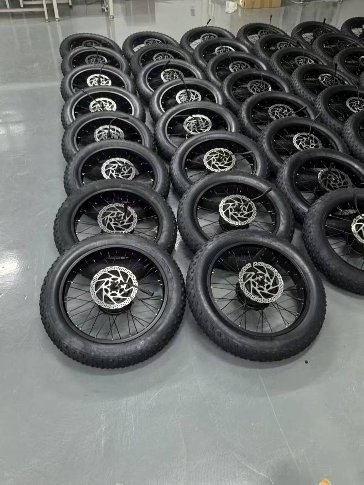 1000W motor for fat tires