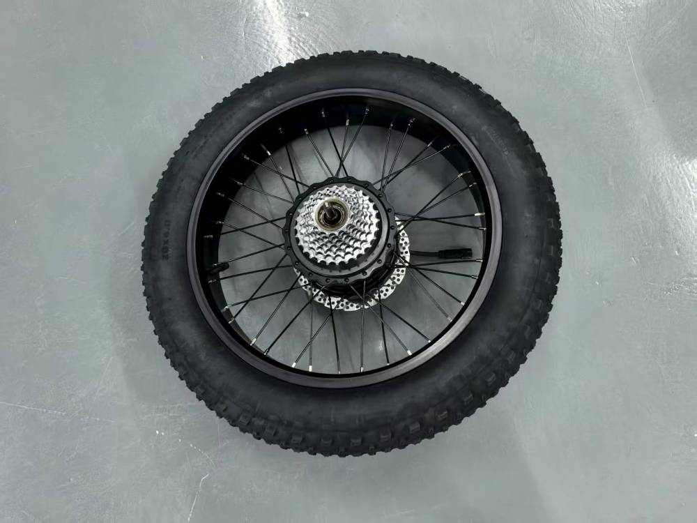 1000W motor for fat tires