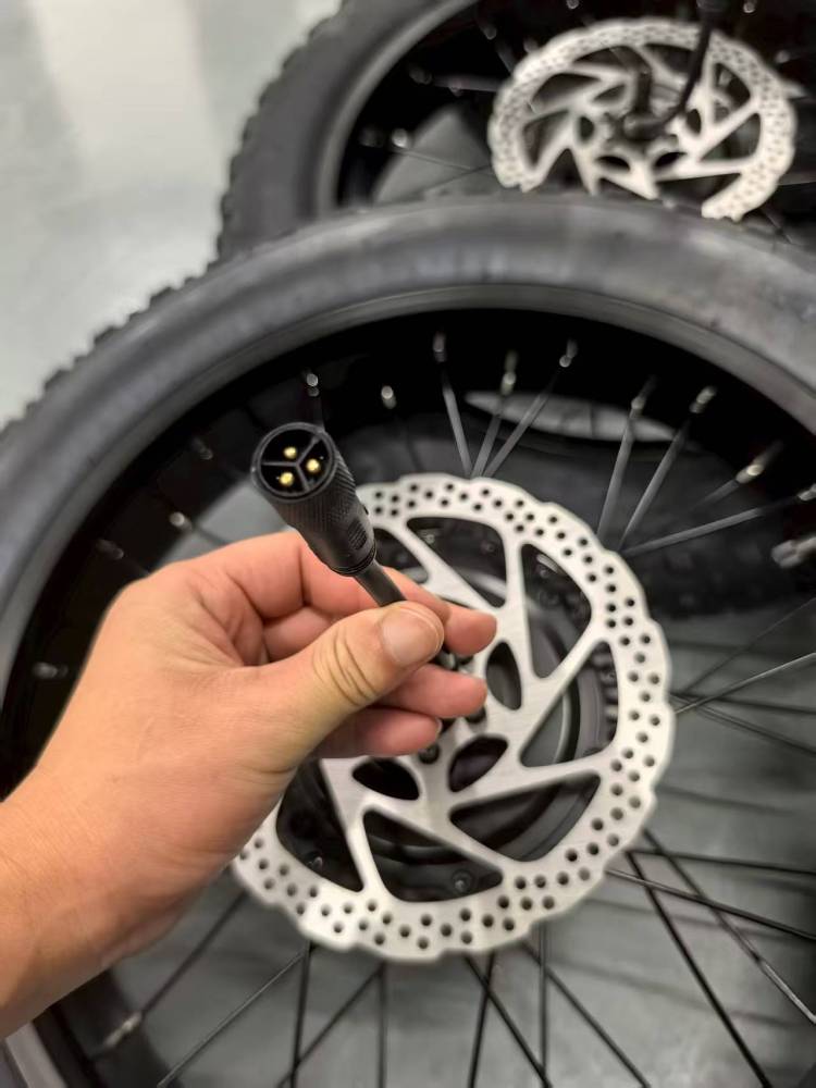 1000W motor for fat tires