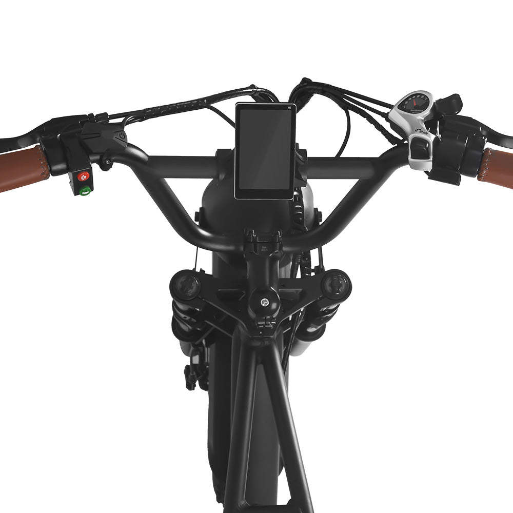 FXH-006 20*4.0 1000W Fat Tire Mountain Bicycle With Removable 48V 17.5/12.5AH Lithium-Ion Battery Double Disc-brake Electric Bike for Men and Woman