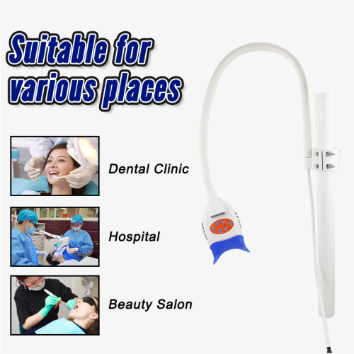 Lámpara dental multifuncional de luz fría de 12 lámparas, 3 modelos y colores
