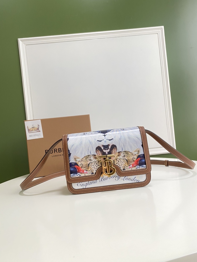 Burberry painted handbags boutique