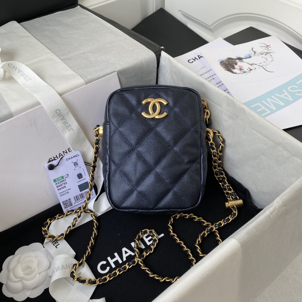Chanel camera bag boutique