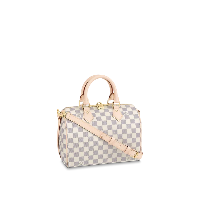 Louis Vuitton Speedy mirror Boutique