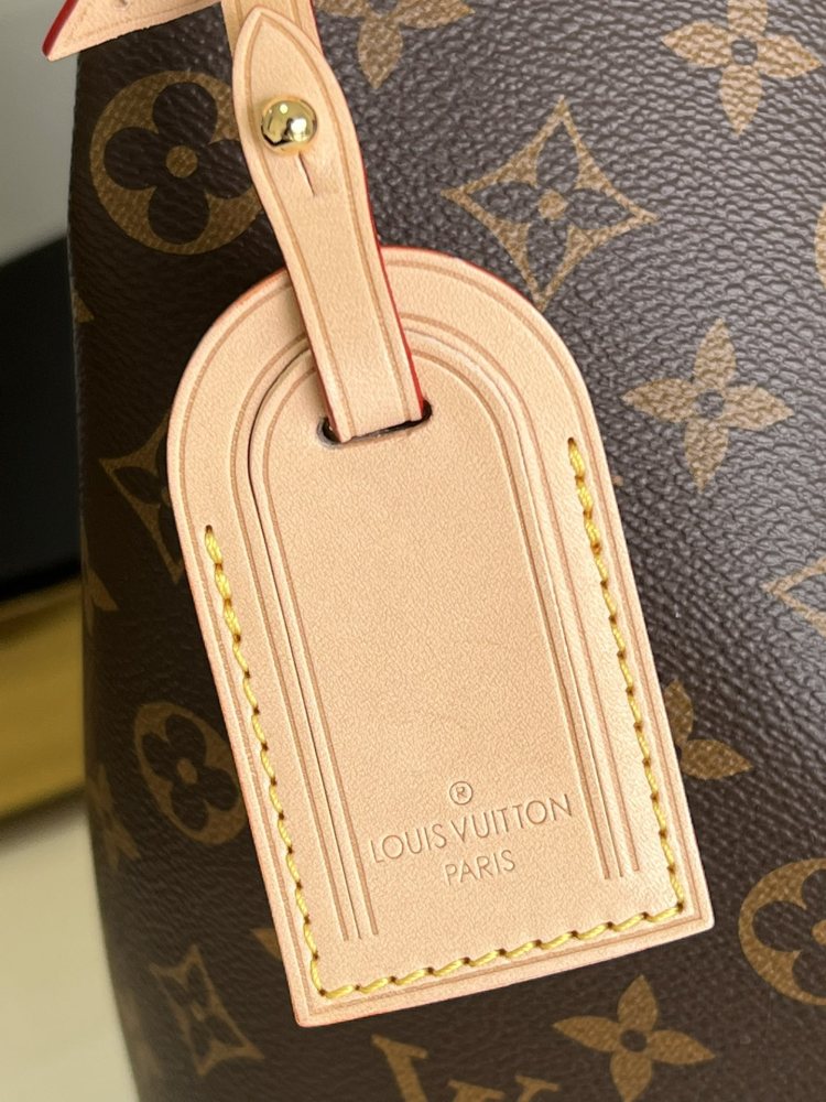 Louis Vuitton monogram Delightful Canvas GRACEFUL MM mirror Boutique