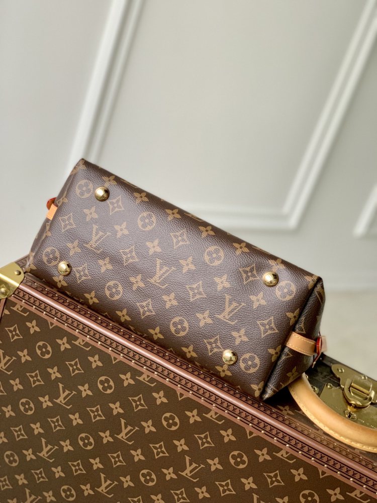 Louis Vuitton CarryAll   Mirror boutique