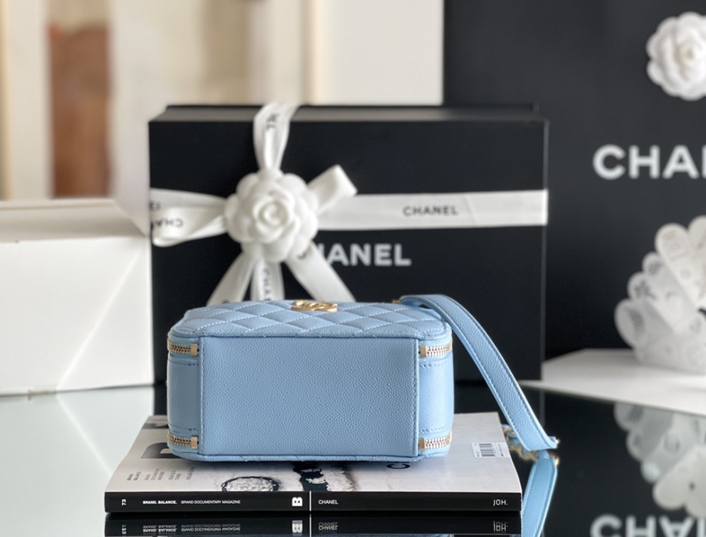 Chanel 22s camera bag Mirror Boutique