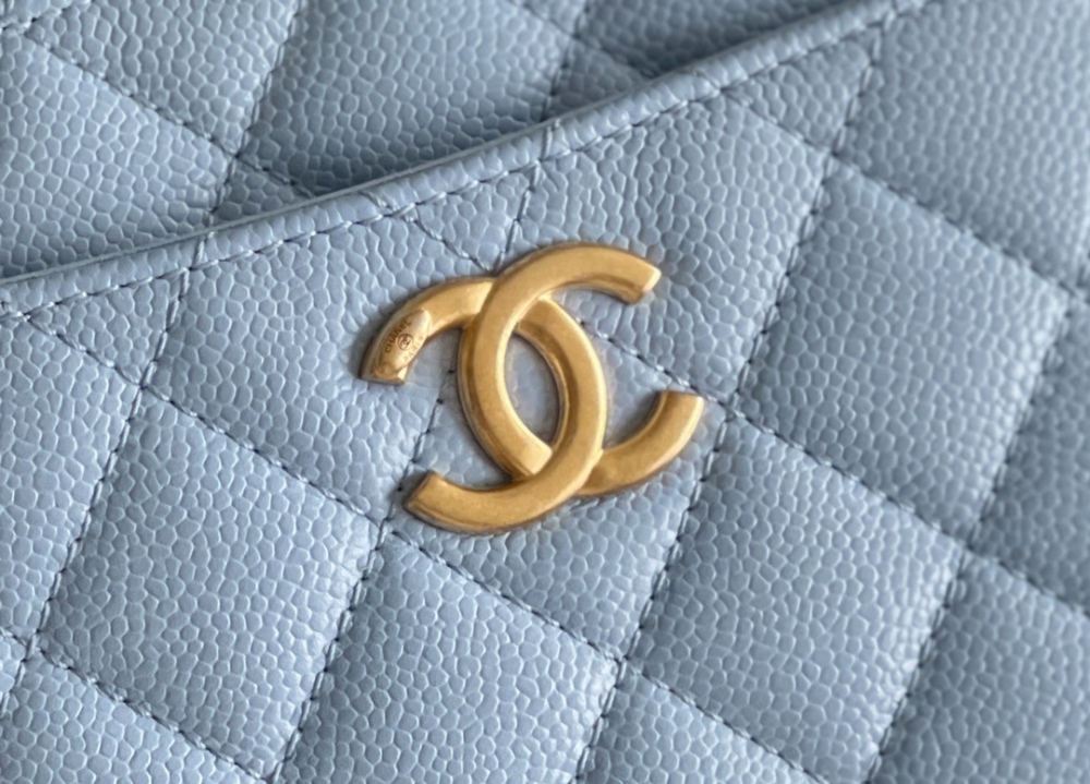 Chanel 22s camera bag Mirror Boutique