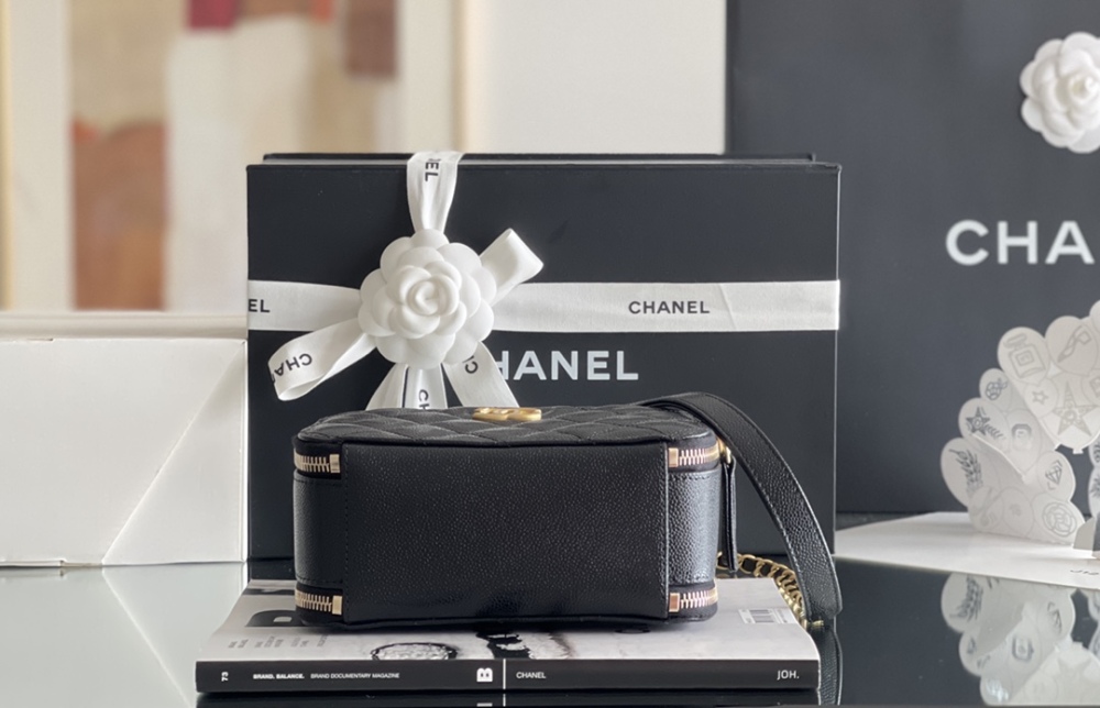 Chanel 22s camera bag Mirror Boutique
